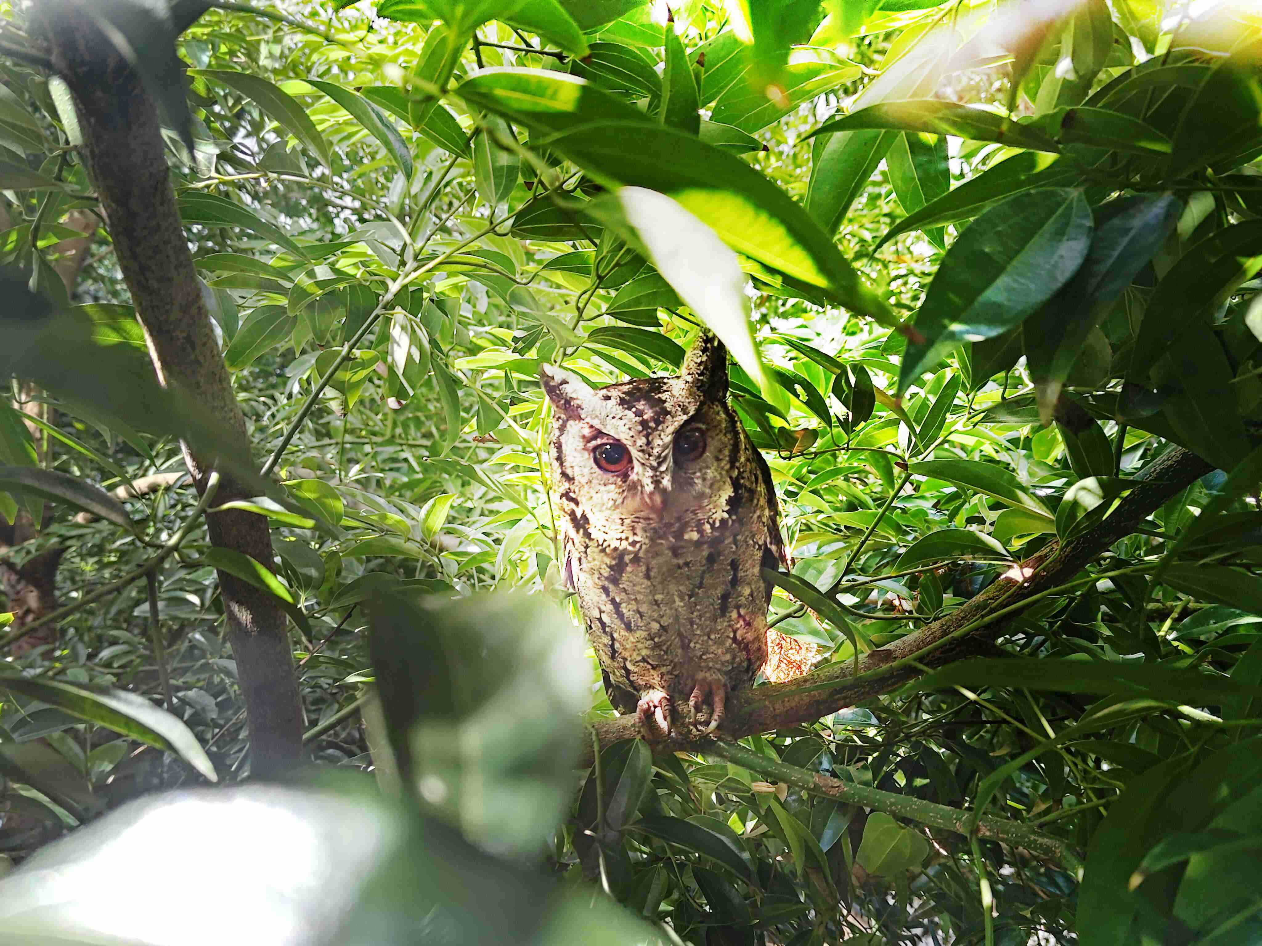 william威廉中文官网致力提倡净零绿生活，，，，16年以来在全球各厂区植树逾百万棵，，，造就各厂区树木蔚然成林，，，犹如森林工厂，，成为许多生物的栖息地